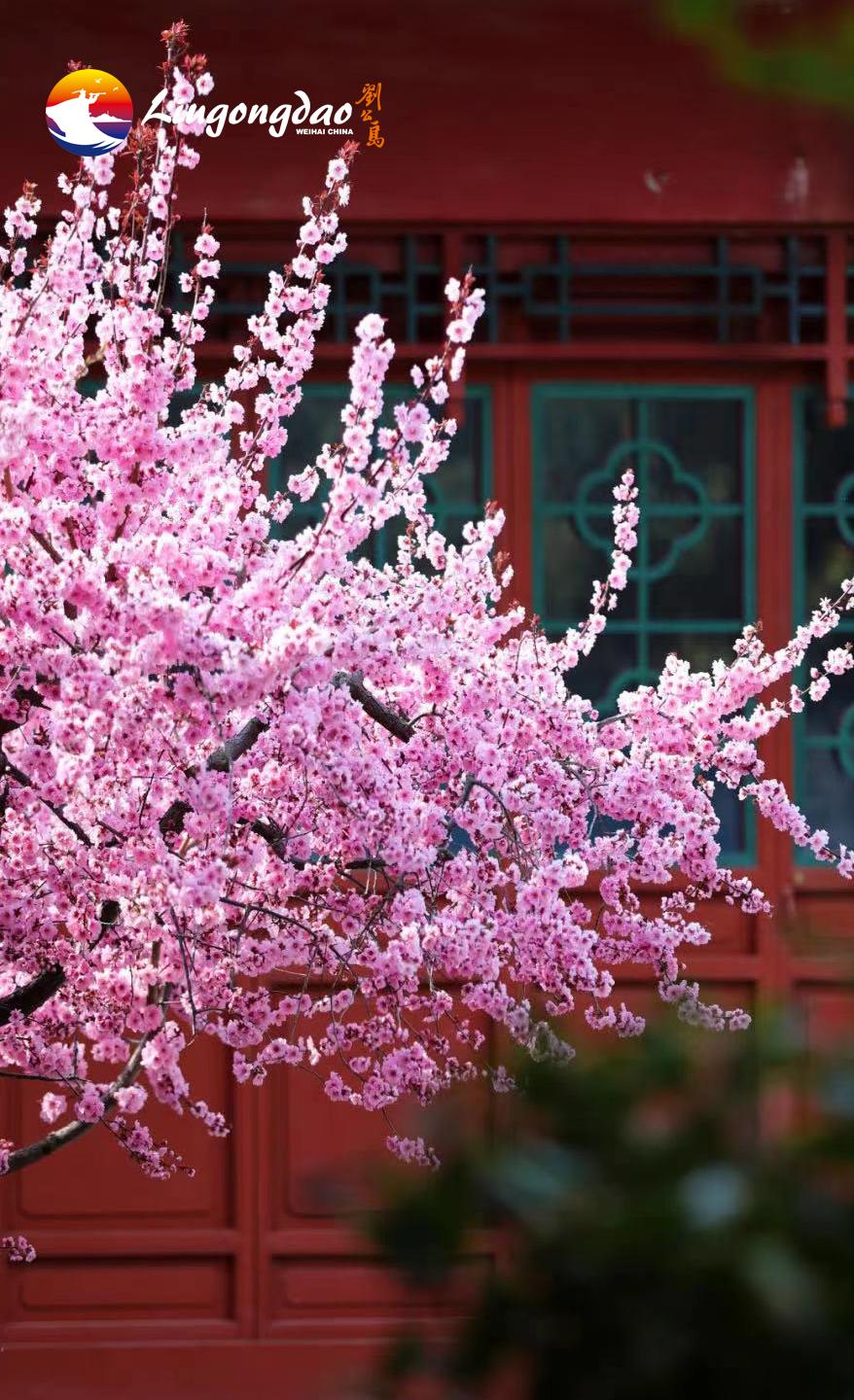 跟团去山东旅游,跟团去欧洲旅游游记