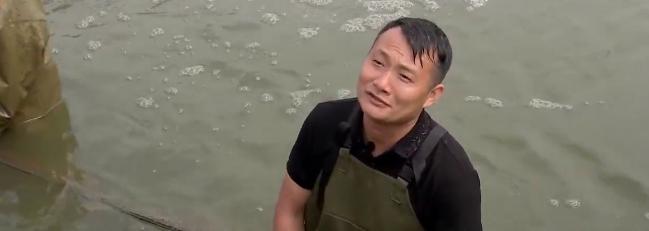 小伙养鱼一周赚100万,养鱼致富第二天目标赚十万