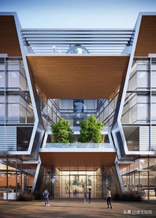 waf2023世锦赛,waf国内排名