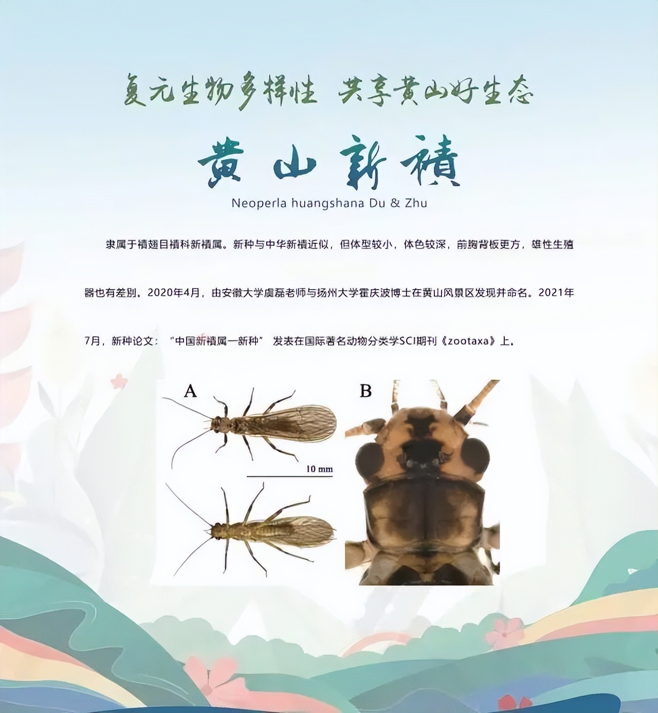 合肥二十种人气美食,合肥好吃的美食排行榜海鲜