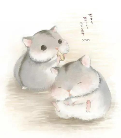 布丁的最终结局,布丁去世