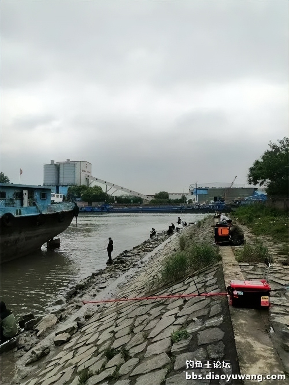 钓鱼王大鲫饵料是什么香味,钓鱼王大鲫和本味有什么区别
