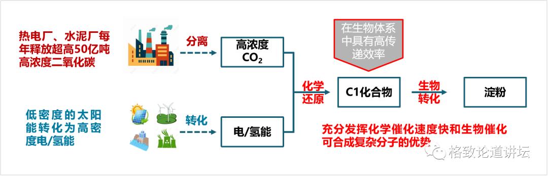 二氧化碳变成淀粉靠谱吗,用二氧化碳合成的淀粉怎样吃