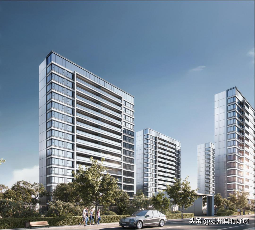 开局四大神兽,四大神盘新房