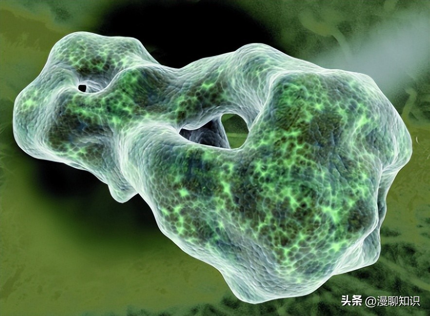 马疱疹病毒感染用什么治疗好,马病毒性疱疹