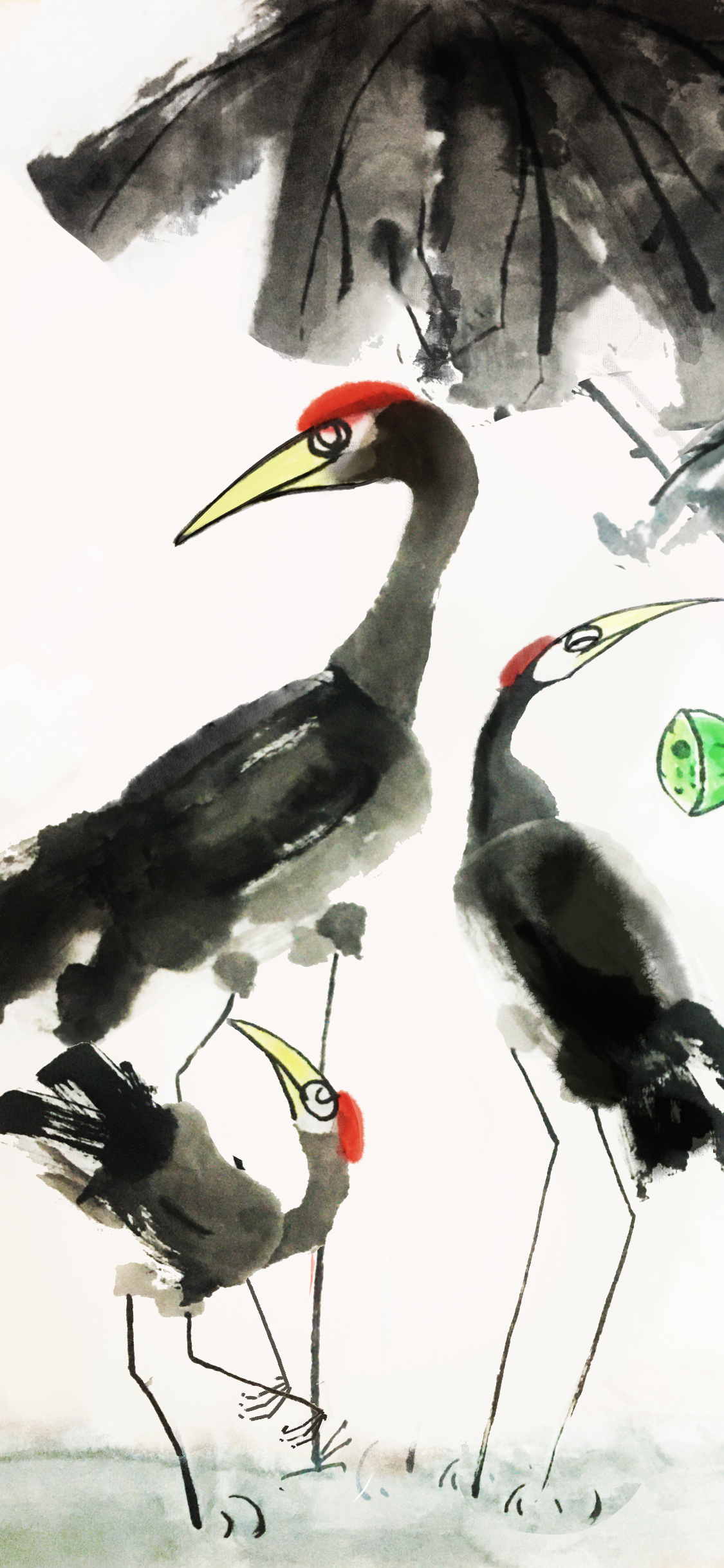 手机型号壁纸图片,169手机壁纸尺寸