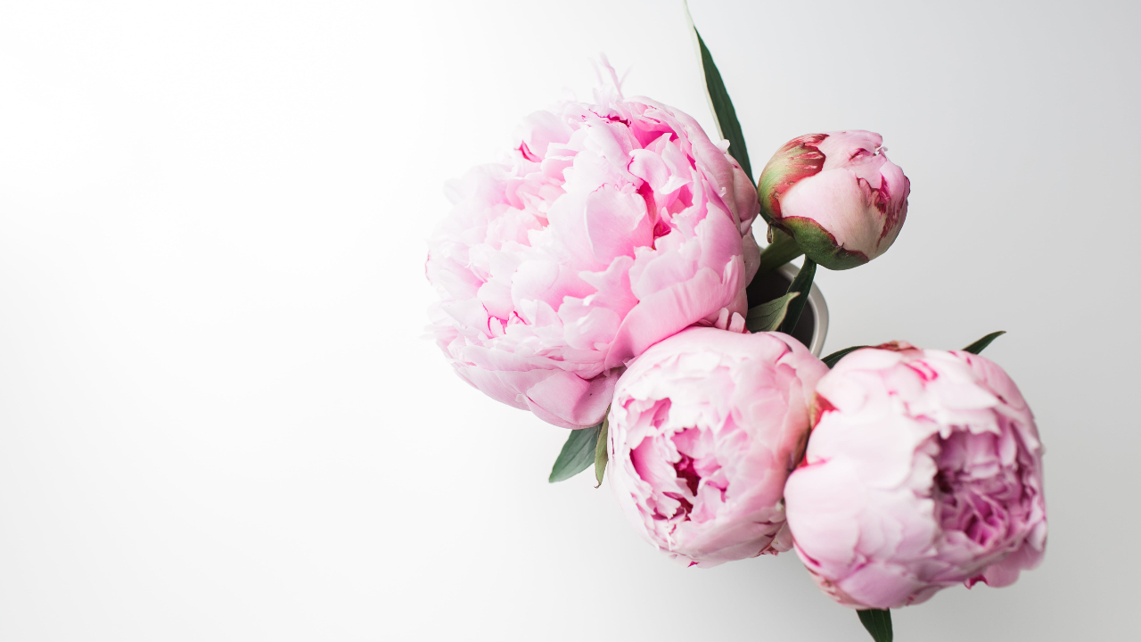 如何接受一个人独自生活的孤独,一个人生活怎么抗拒孤独