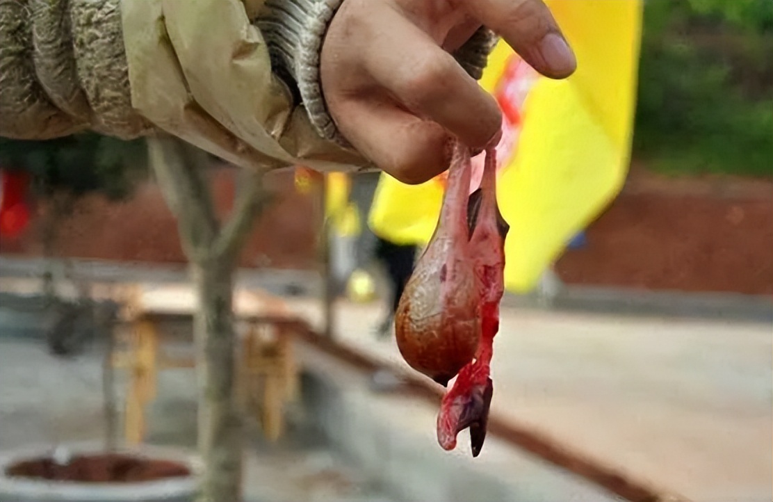 农村俗语四大苦四大愁四大悲,俗语四大苦四大悲四大愁四大辣