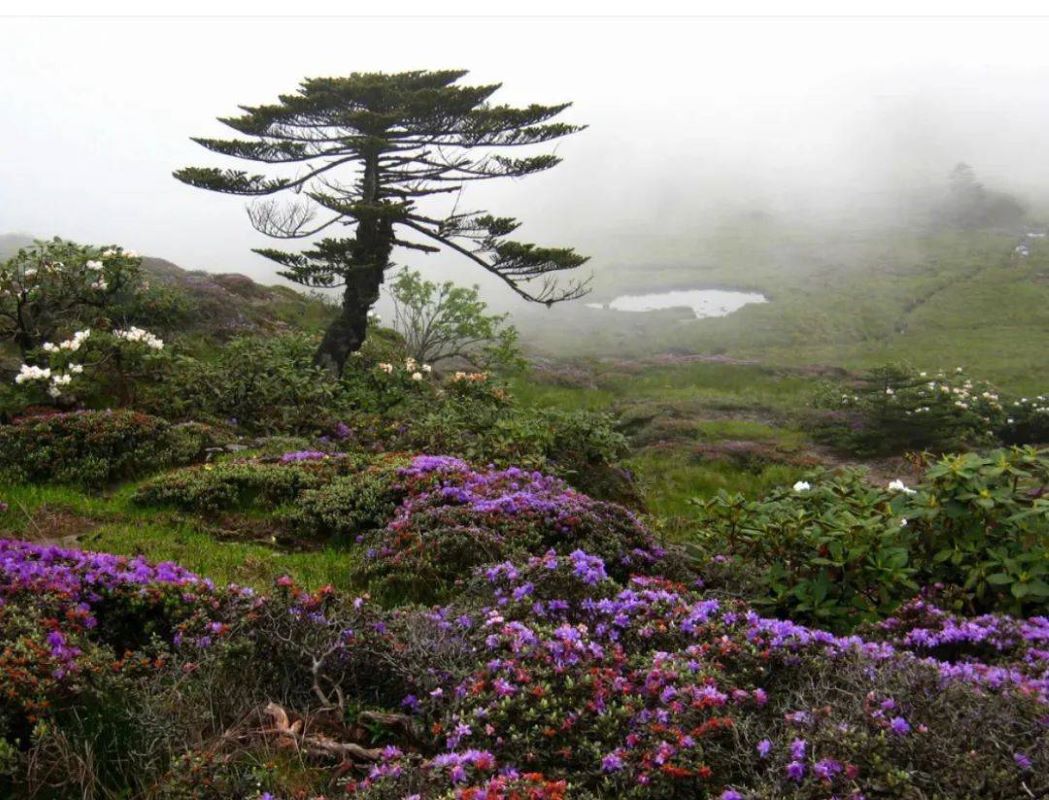 昆明到贵州5日游路线攻略,昆明大理5日游最佳方案