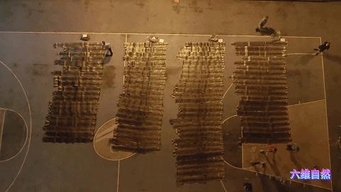 抓捕过最长的蟒蛇,最长蟒蛇视频真实