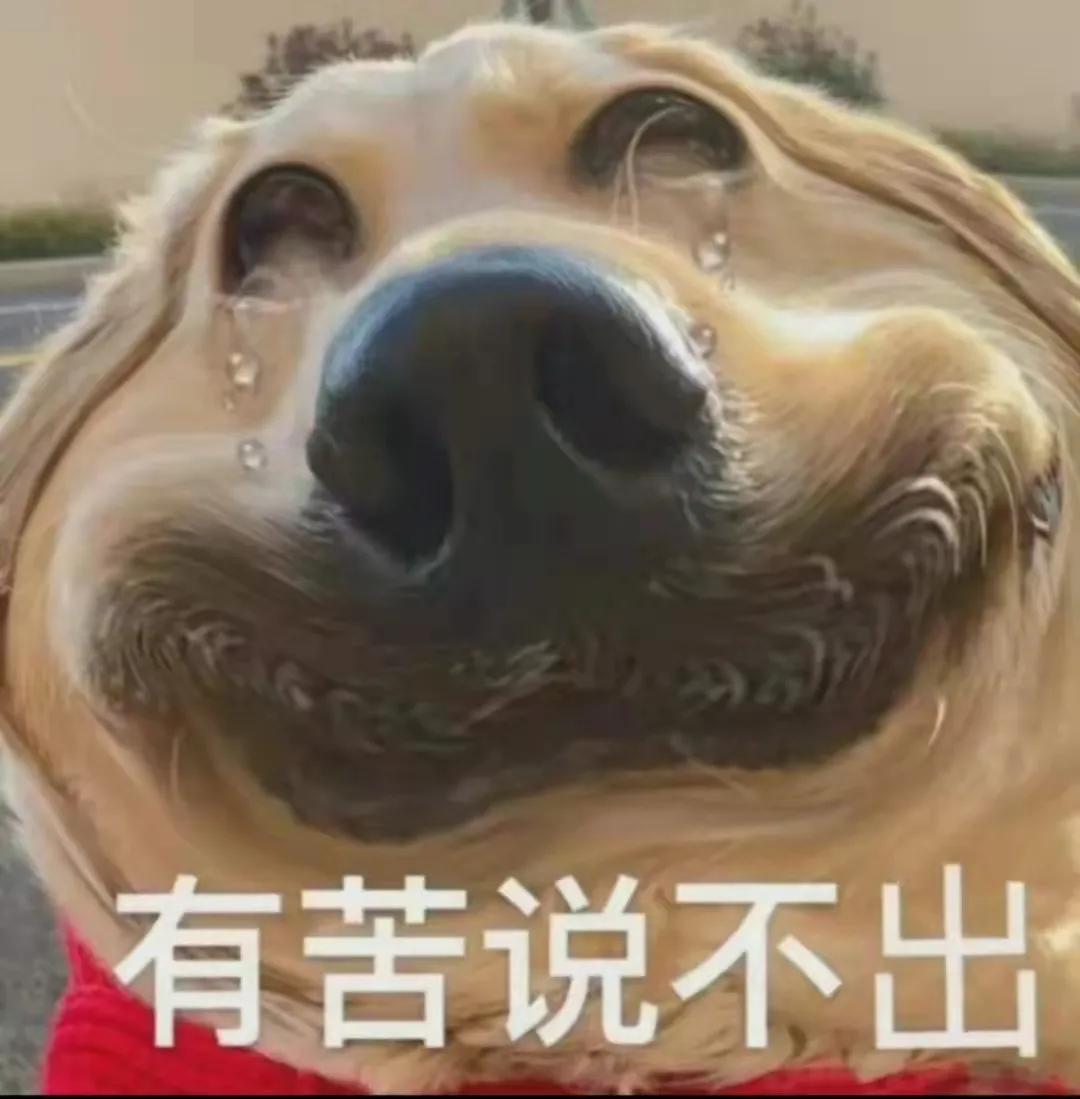 深圳租金贷现状 (深圳南山区意中利科技园附近租房)