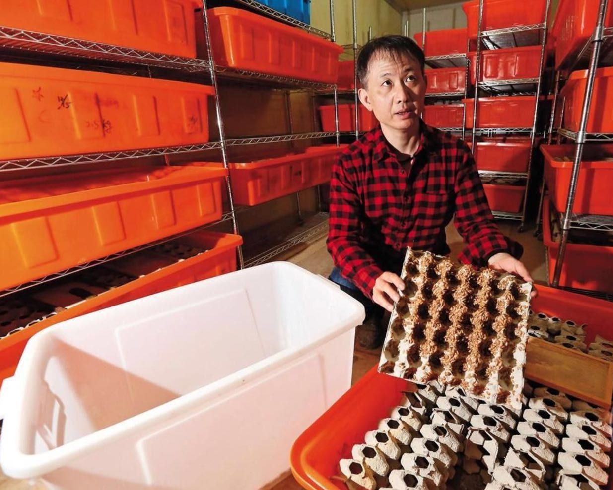 餐厨垃圾养殖蟑螂怎么拿补贴,山东养殖蟑螂解决餐厨垃圾