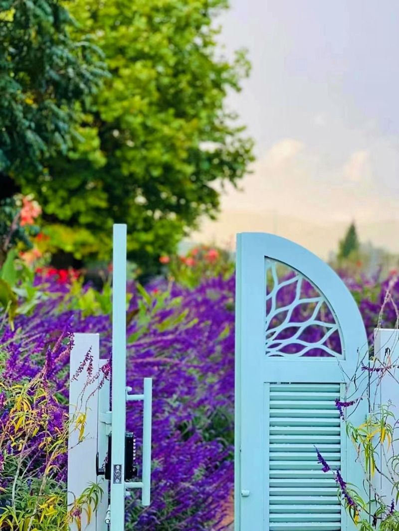 解锁长隆酒店,解锁密码酒店