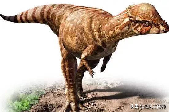 恐龙世界最强的十大恐龙,恐龙世界盘点最强大的恐龙