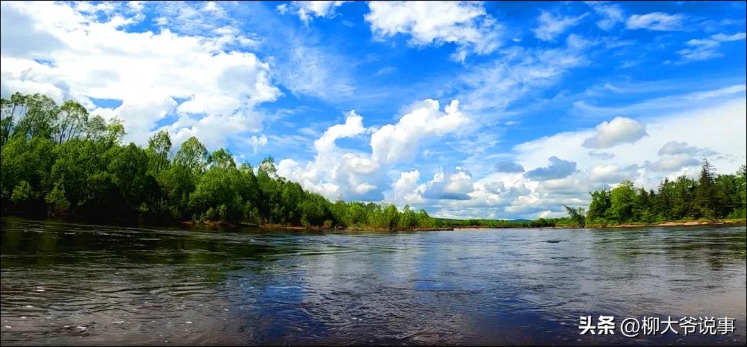 大兴安岭“采山”日赚千元是真的吗？哈尔滨小伙亲自体验结局亮了