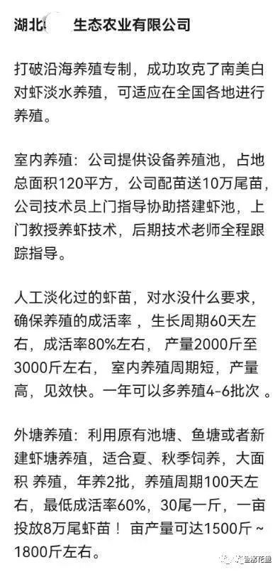 帆布池养殖泥鳅到底行不行,南美白对虾帆布池养殖可靠吗
