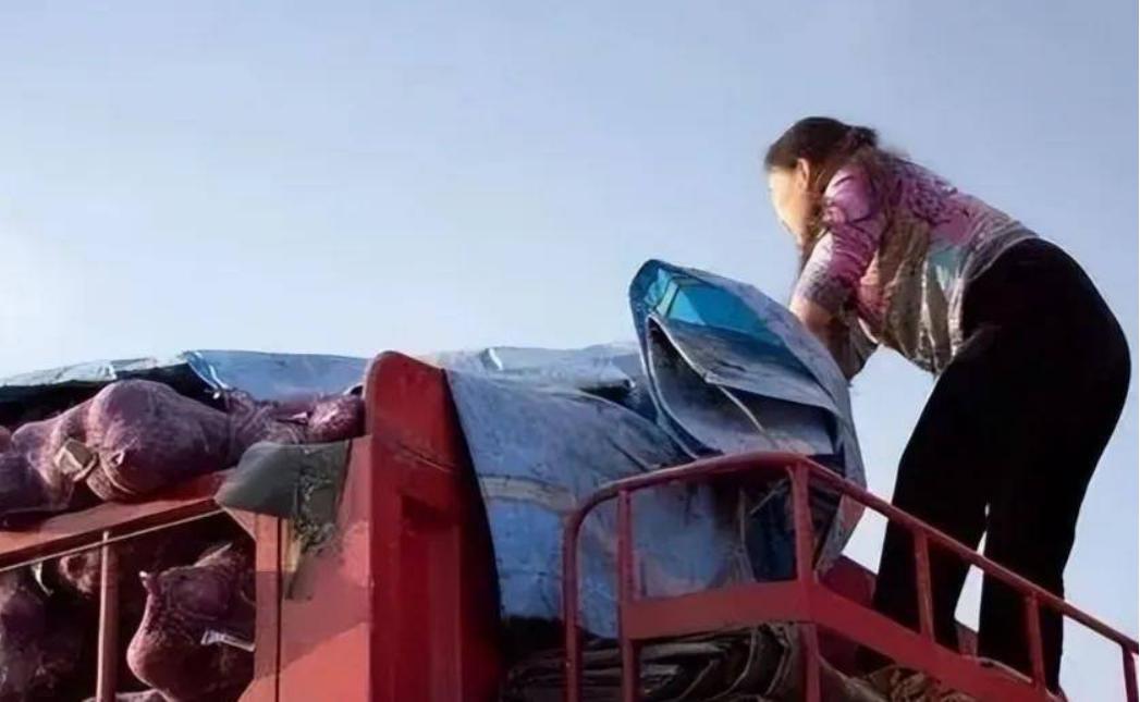 1000万卡车夫妻的真实生活,中国夫妻美国卡车司机生活纪实