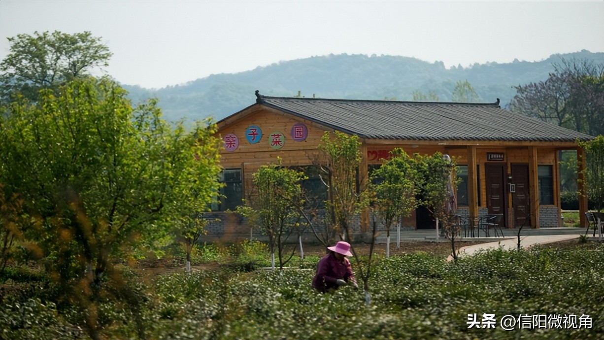 十一假期旅游推荐信阳市,十一假期信阳免费景点
