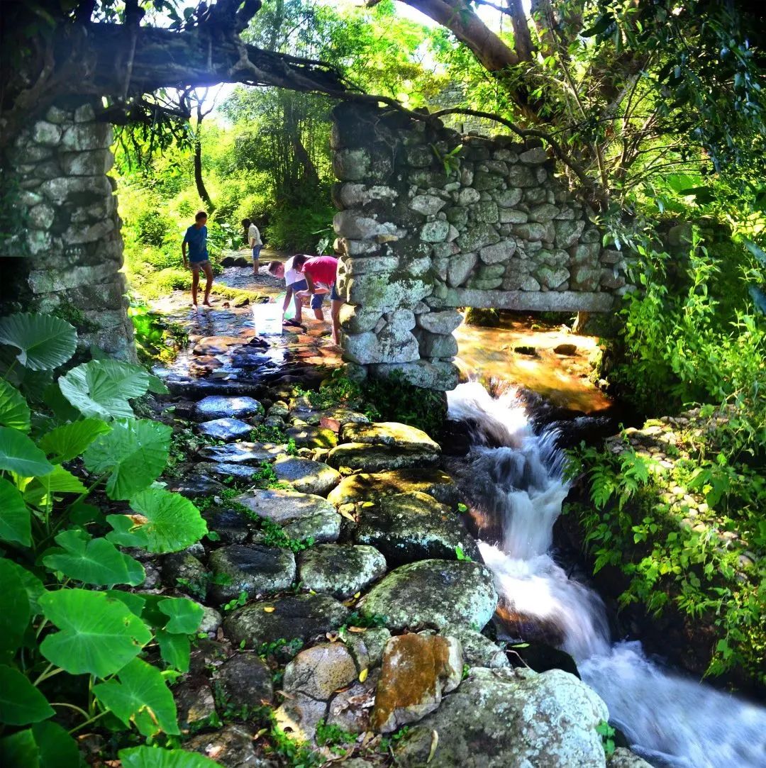 为什么会爱上顺德,恩平人为什么喜欢去委内瑞拉