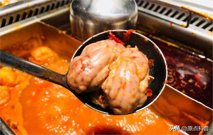 盘点外国人吃动物内脏,盘点人类不敢吃的七大外来物种