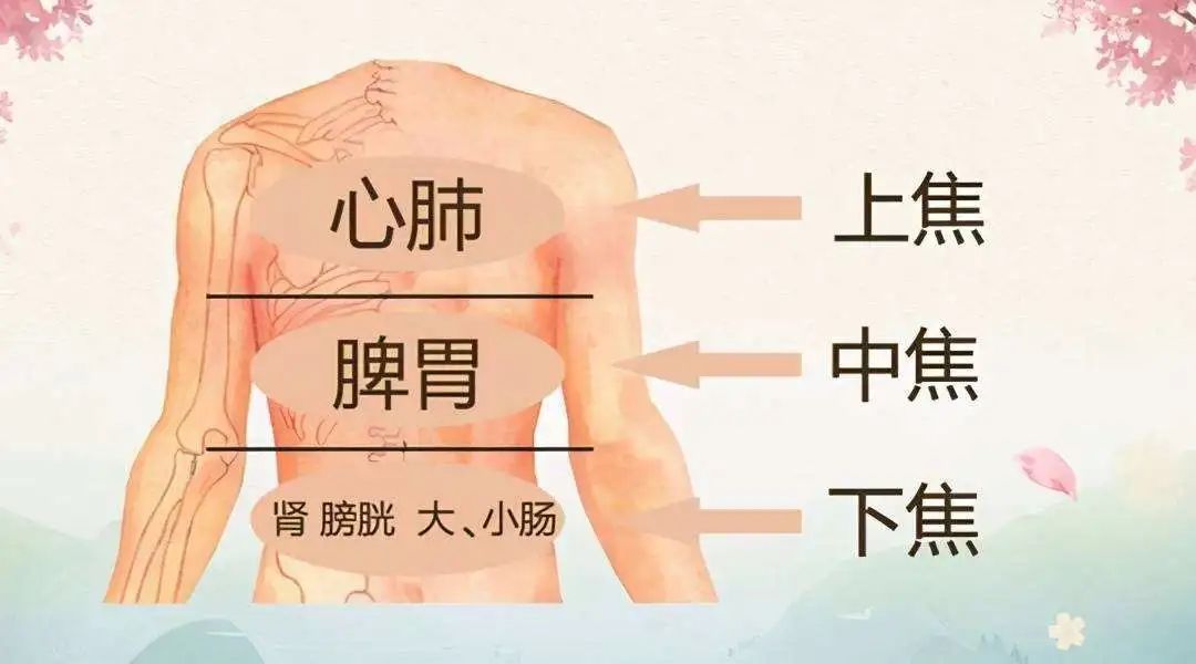 春分主要阳气少阴气多,春分以后阳气上升是养阳还是增阴