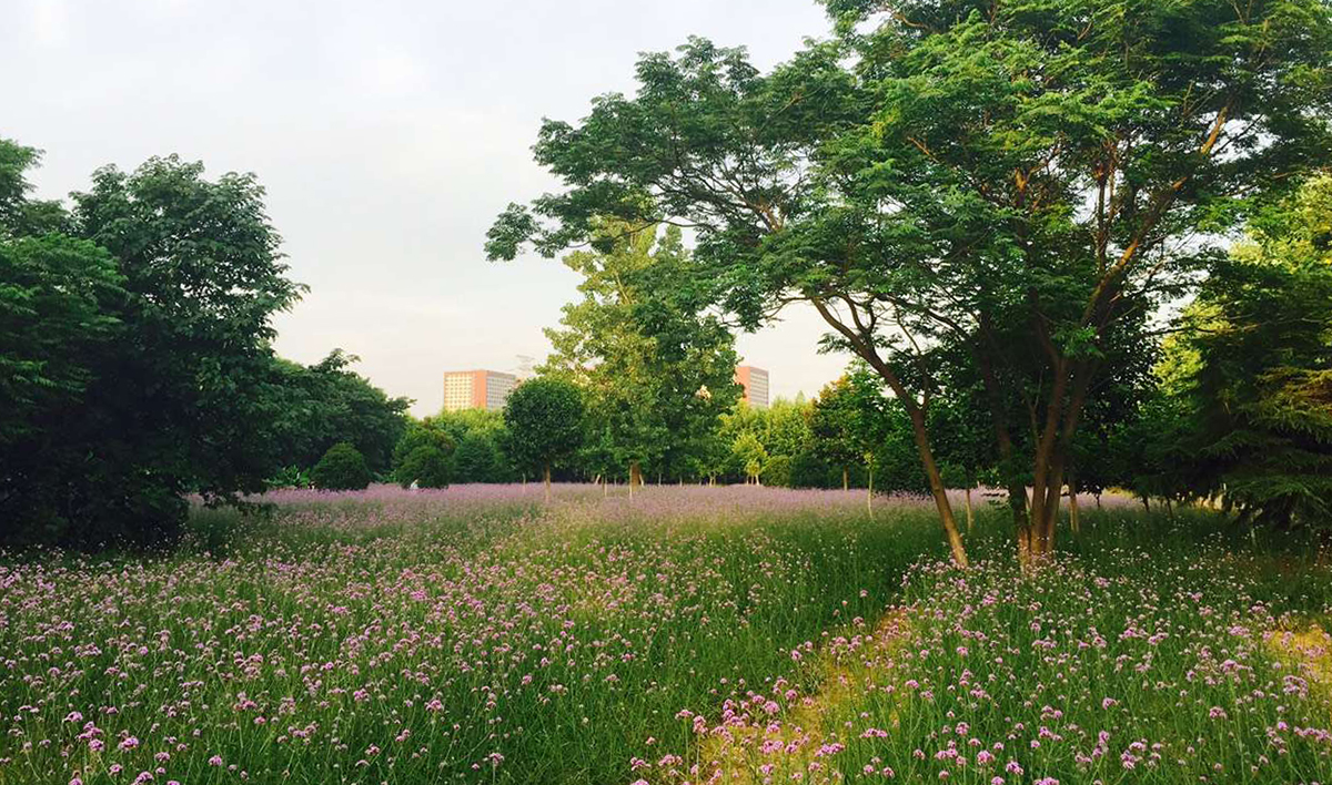南京工业职业技术学院就业怎么样,南京工业职业技术大学是什么档次