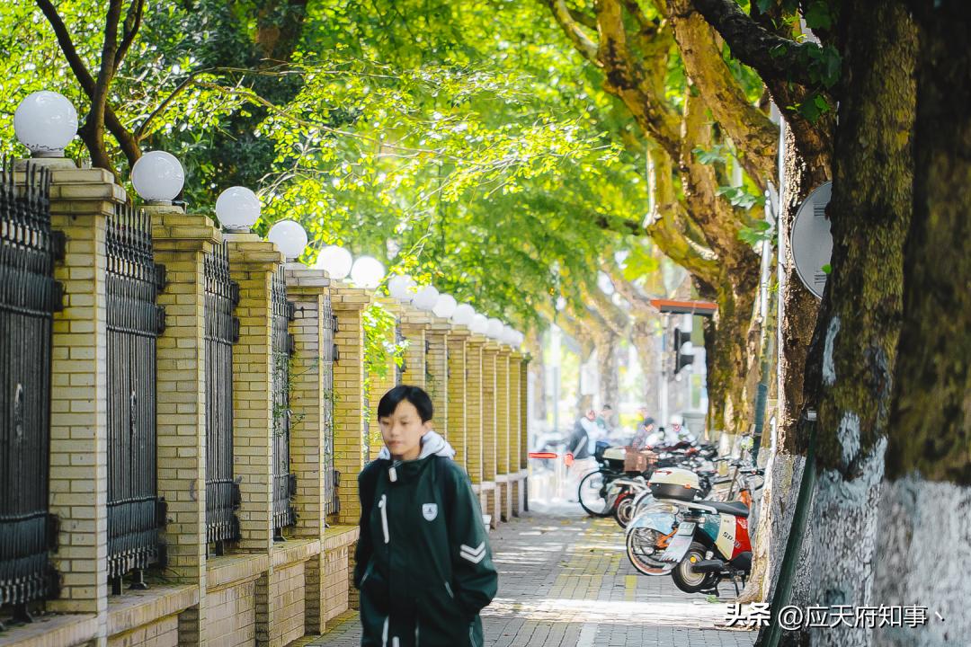 南京再回来是绿码吗,南京站到察哈尔路公交车