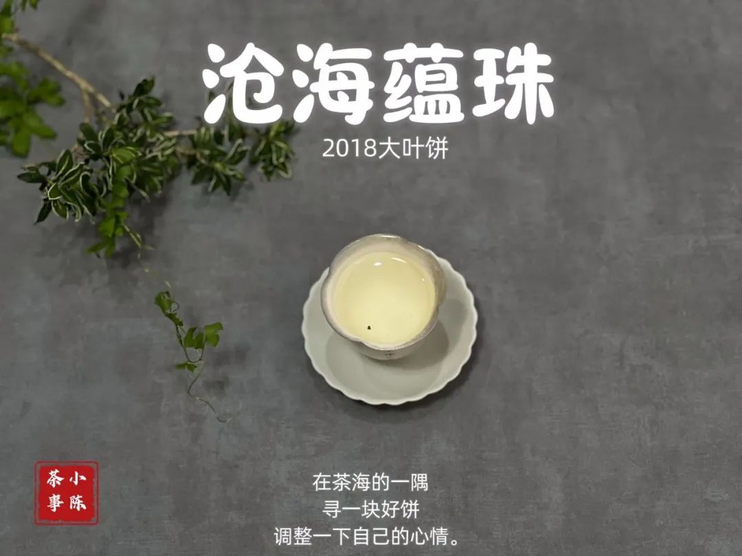 白茶饼和散茶哪个煮着喝好,白茶饼茶和散茶的区别