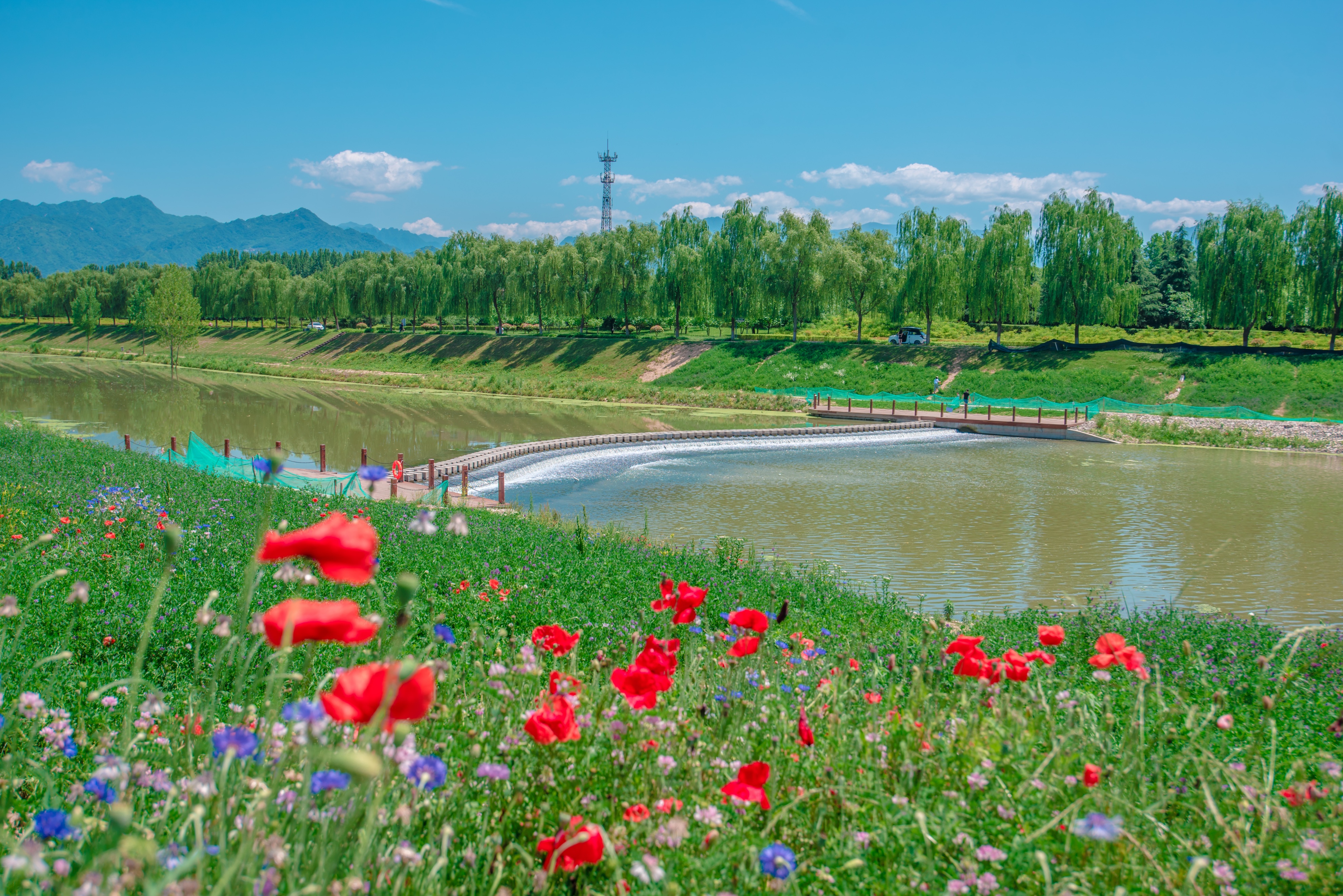 西安周边四大踏青露营小众场地,西安周边绝美露营地推荐