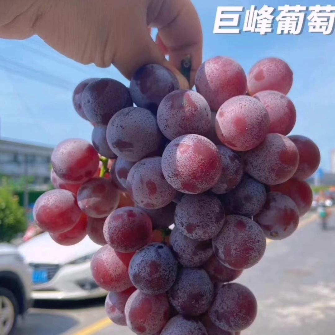 塑身衣是智商税嘛,减肥穿塑身衣有用吗是智商税吗