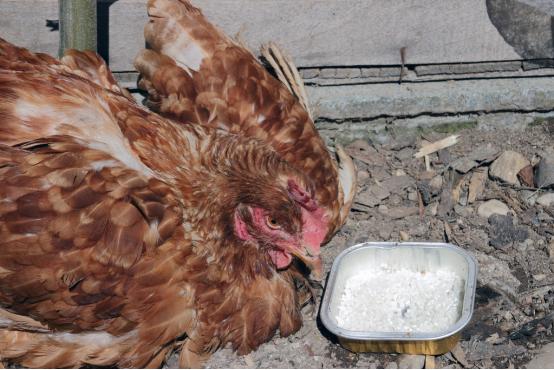 氨基酸维生素矿物质的作用是什么,氨基酸维生素矿物质的作用