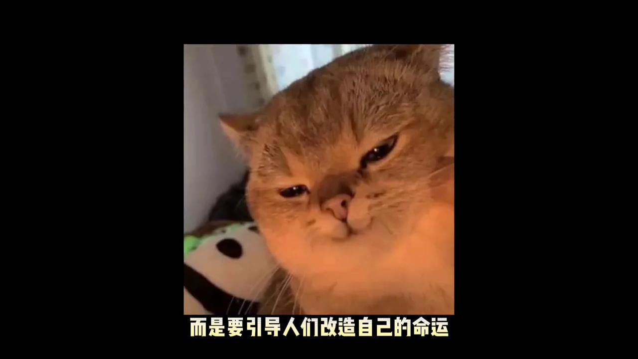 塔罗占卜选择哪个塔罗牌,塔罗牌占卜你适合当塔罗师吗