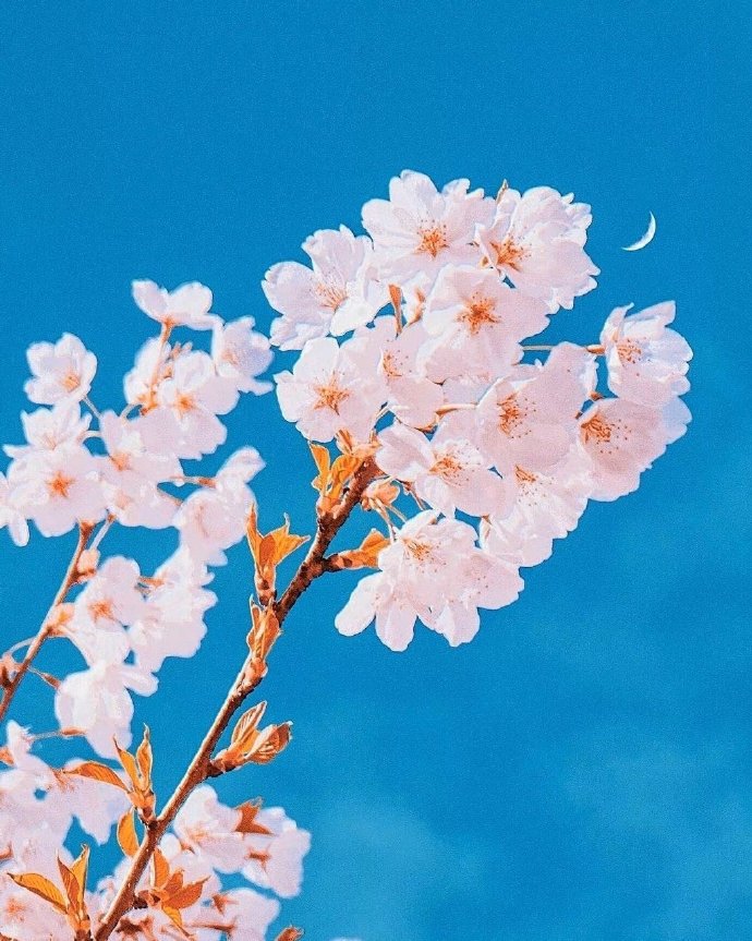 酒店式旅居养老,怎么选择酒店式养老