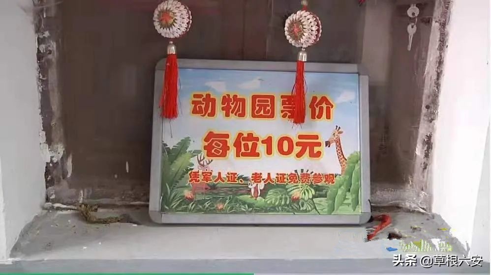 动物园新消息,肥东动物园新消息