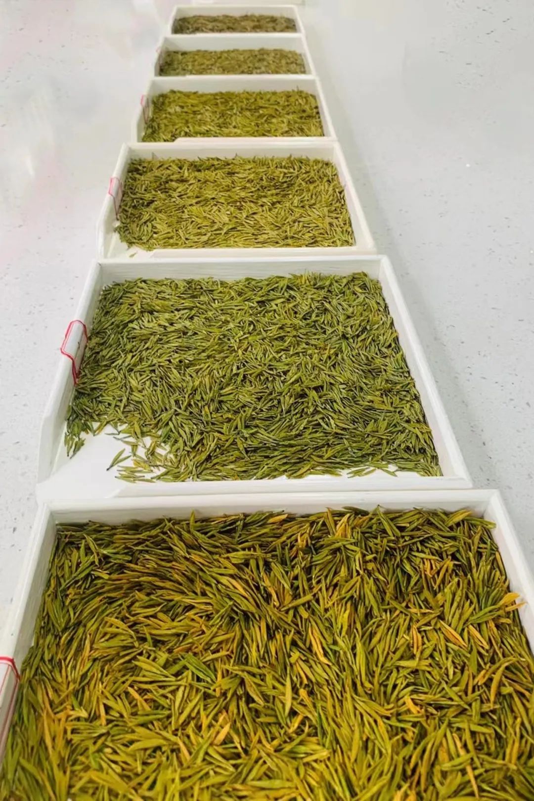 茶馆喝茶是种什么享受,中国喝茶第一大省