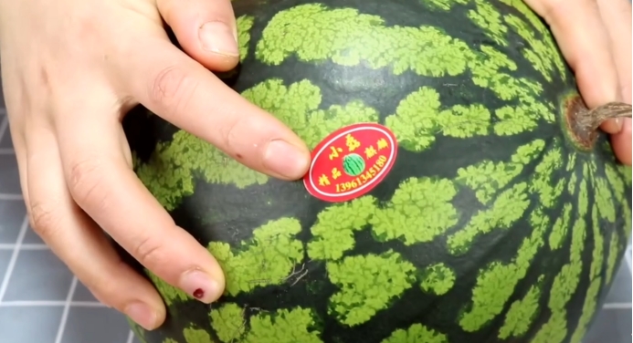 挑选西瓜瓜农,挑选西瓜的技巧和方法