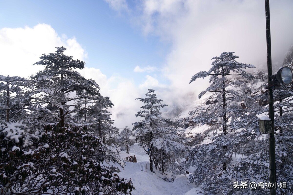 昆明机场周边有哪些旅游景点,元旦昆明周边有免费玩的景点吗