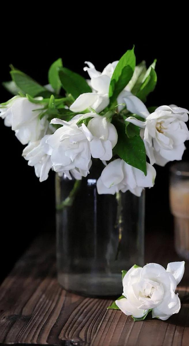 花朵黑白手绘图,黑白图片花朵