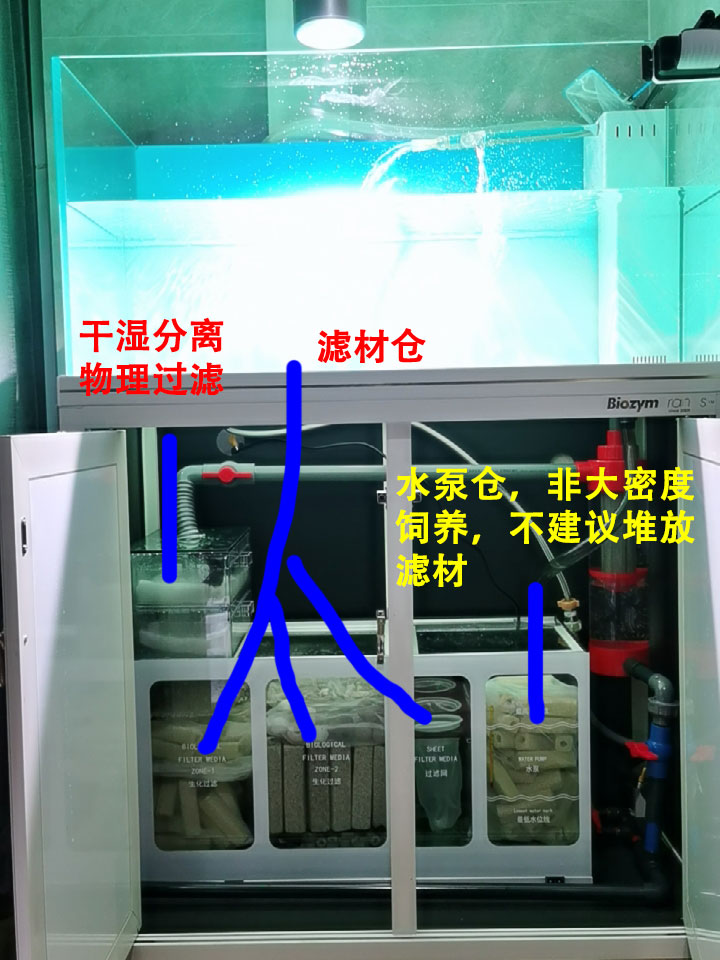 养鱼一定要开缸吗,新手养鱼开缸教程合集