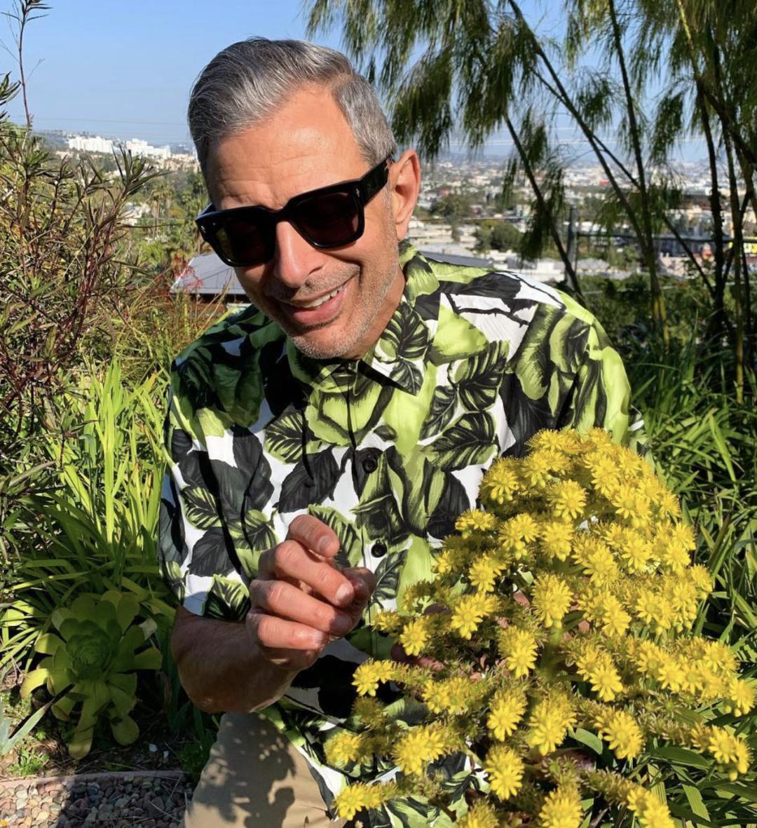 JeffGoldblum—摆脱年龄做最时尚的老头