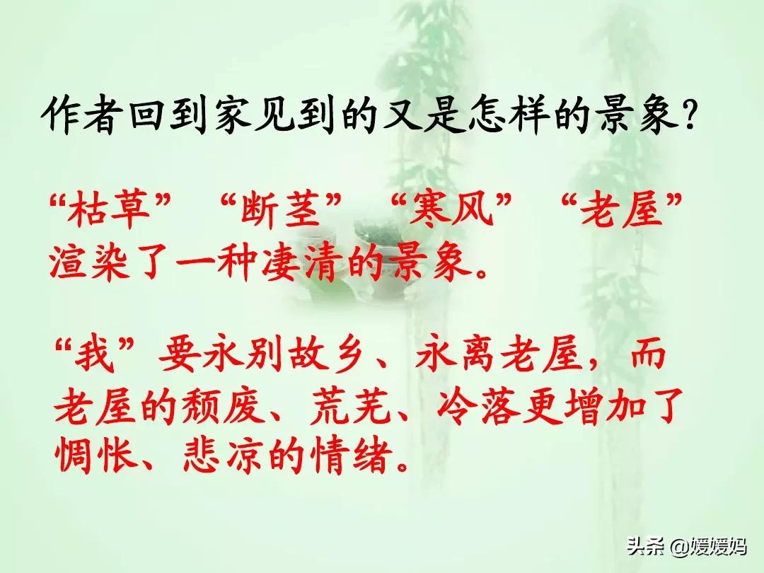 九年级上册语文第15课故乡预习,语文书人教版九上故乡ppt