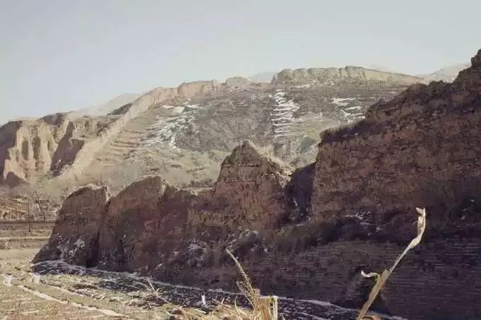 “河东神曲”，何以造就清香之源？丨品质