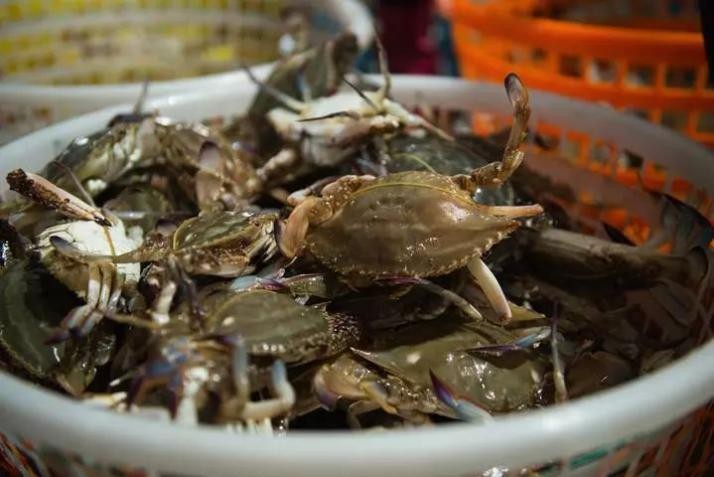 宁波宁波味道,宁波的江南气息