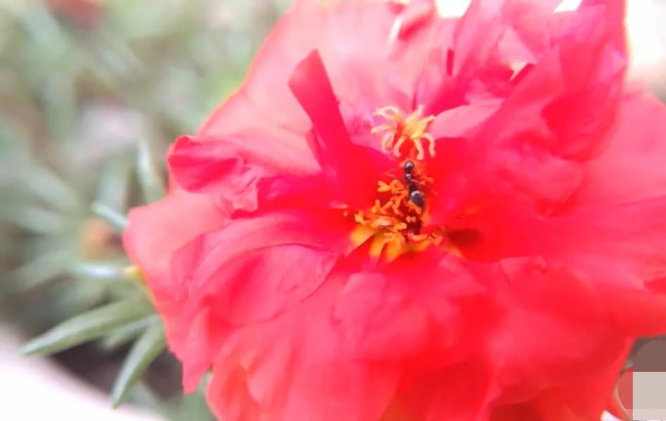 新手发现9：我眼里的头条号百度号企鹅号网易号搜狐号2022