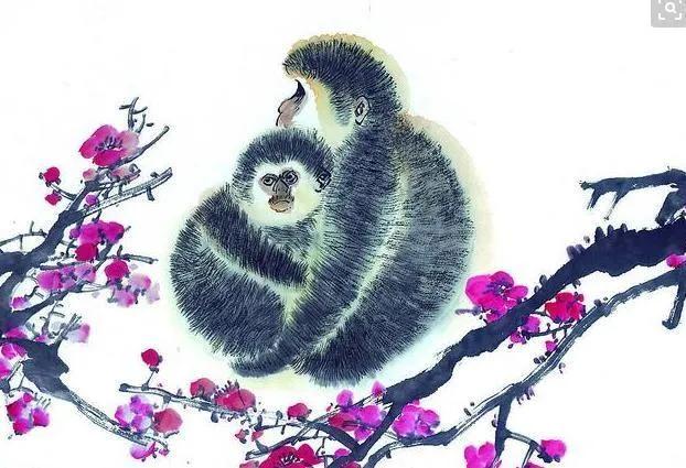 申猴和寅虎在什么情况下不相冲,寅虎申猴是哪年的