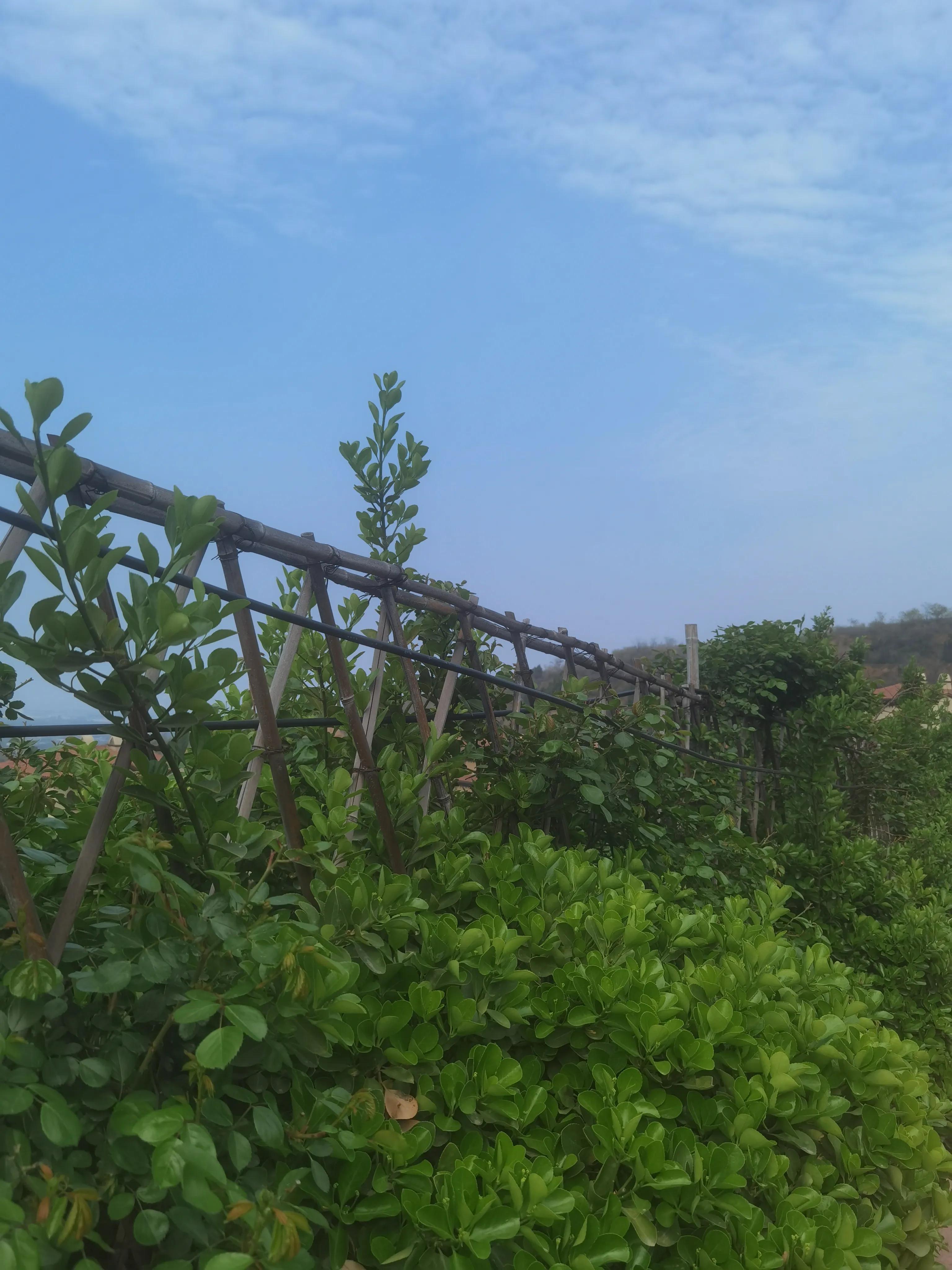 郑州西郊遛娃好去处公园,郑州周边5.1免费带娃好去处