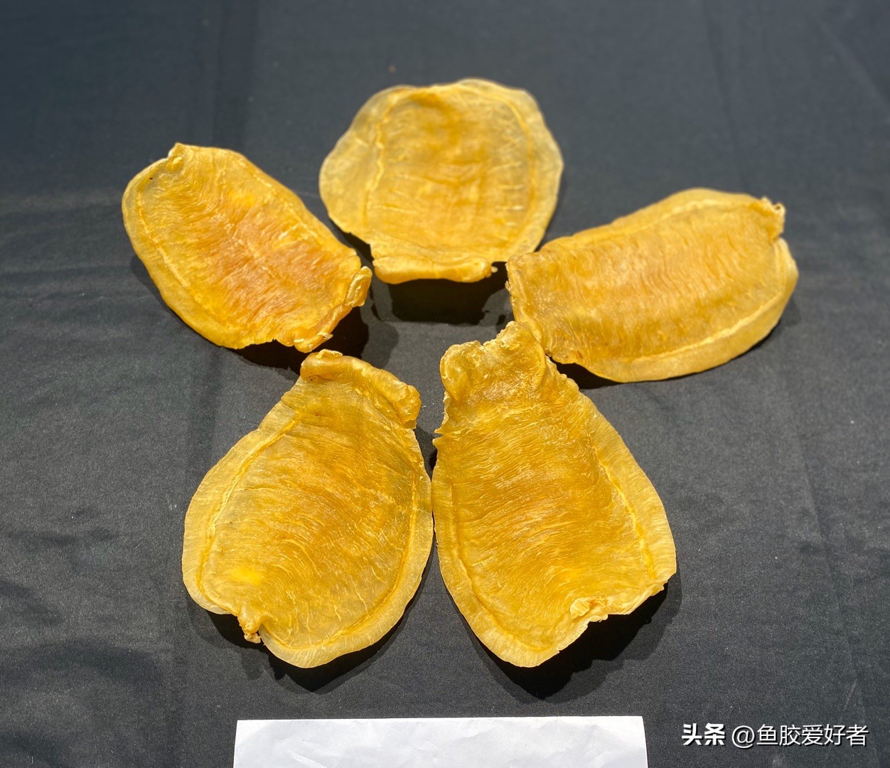 鱼胶小知识分享秒杀来了,鱼胶正确的选择方法是什么