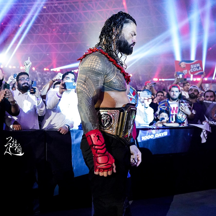 wwe赛斯两次击败猛兽,wwe赛斯受伤后谁获得了冠军