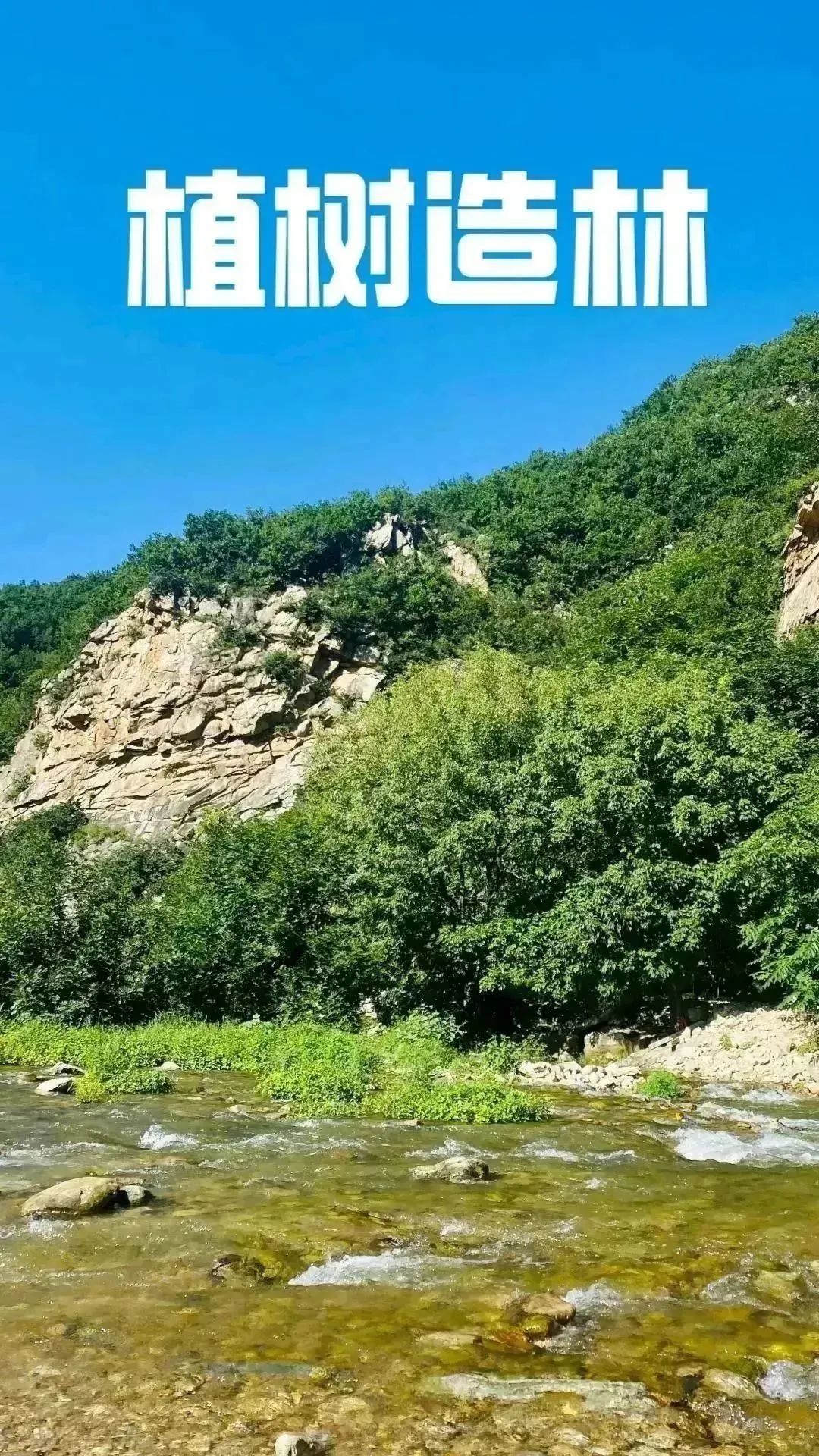 环保最新通知营口,辽宁营口环保新闻最新消息