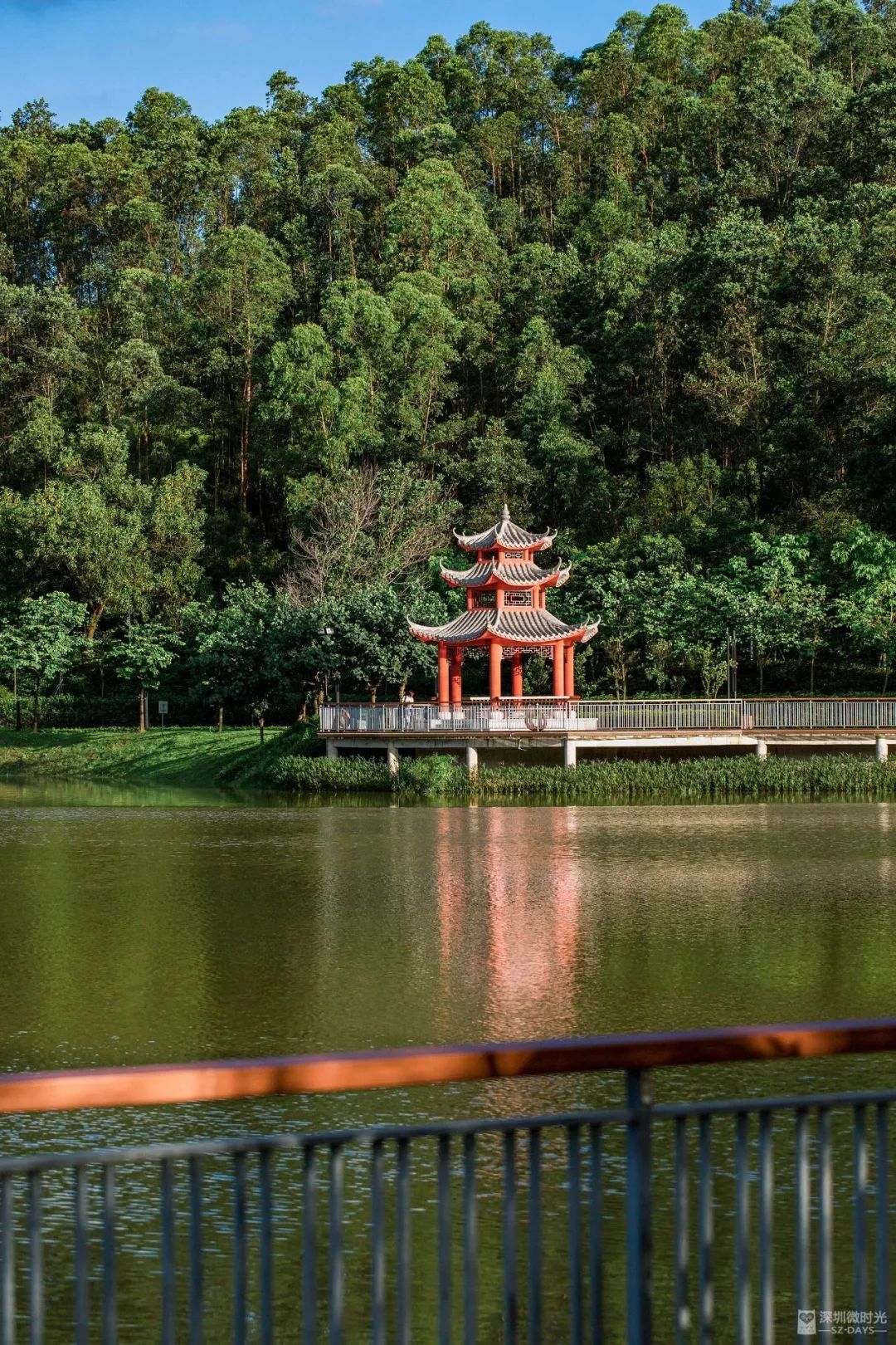 深圳这些新开的公园太美了,深圳淘金山湖景花园